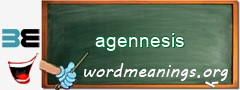 WordMeaning blackboard for agennesis